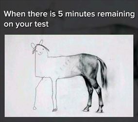 5 minutes remaining on your test