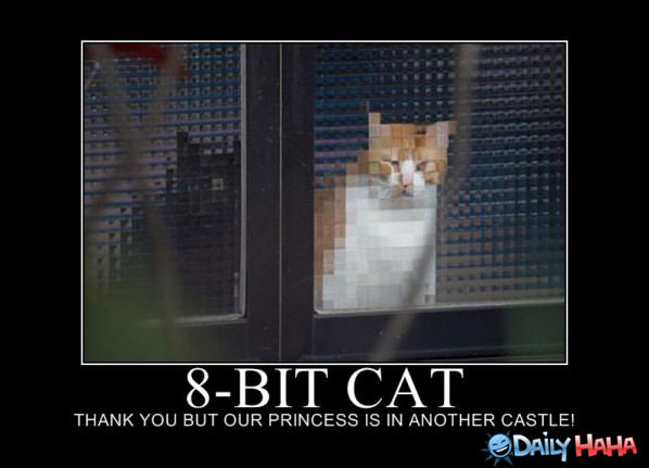 8 Bit Cat funny picture