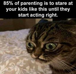 85 percent of parenting