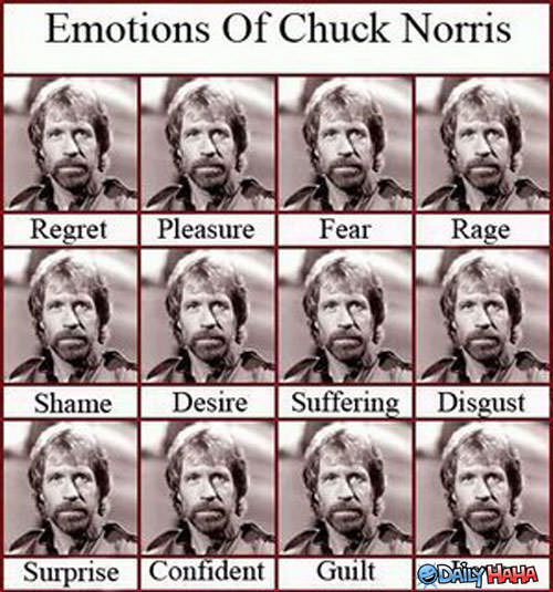 Emotions of Chuck Norris funny picture