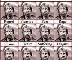 Emotions of Chuck Norris funny picture