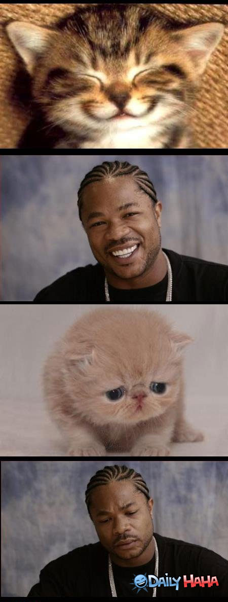 What Makes Xzibit Frown funny picture