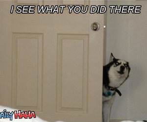 I See What you Did funny picture