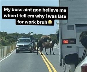 Not going to believe it