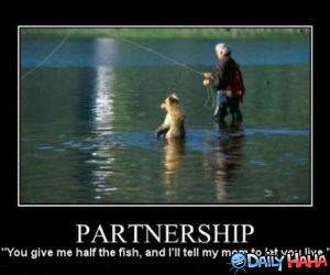 Partnership