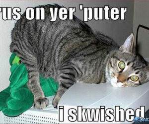 Puter Virus funny picture