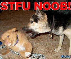 STFU NOOB