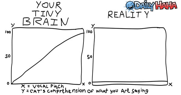 Your Tiny Brain funny picture