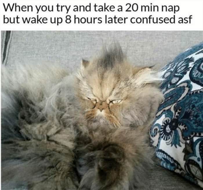 a 20 minute nap