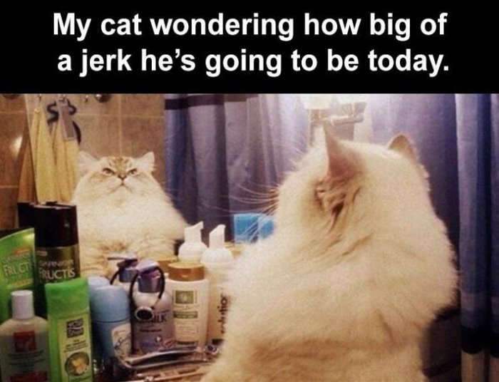 a big decision for me