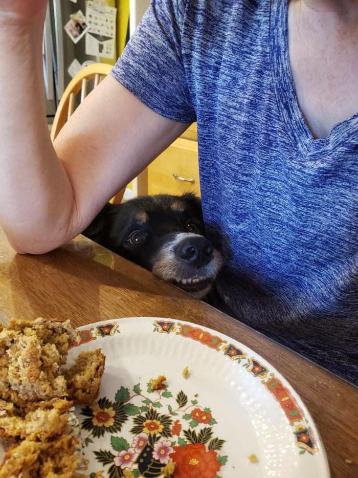 a bite please please please