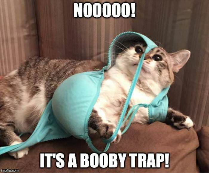 a booby trap