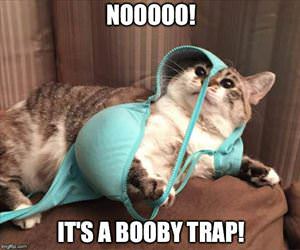 a booby trap