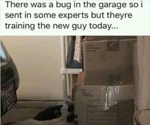 a bug in the garage