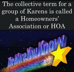 a collection of karens