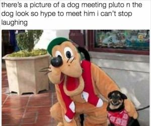 a dog meeting pluto