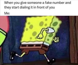a fake number