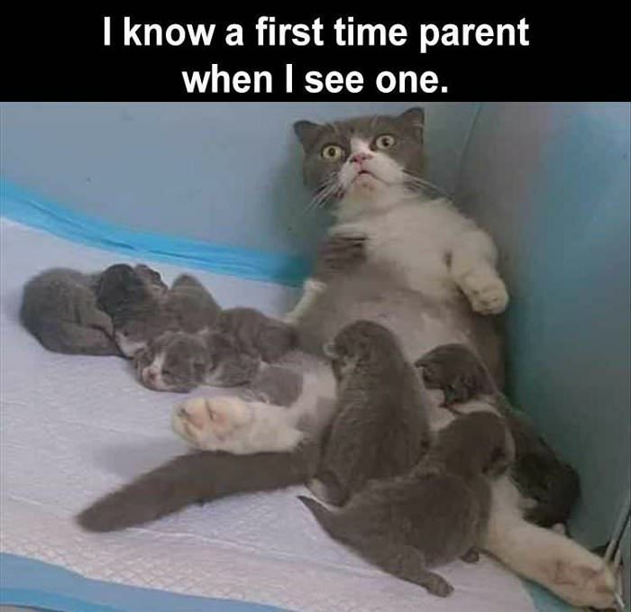 a first time parent ... 2