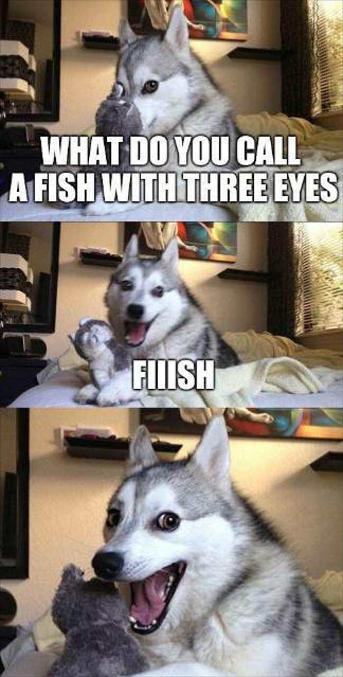 a fish with 3 eyes