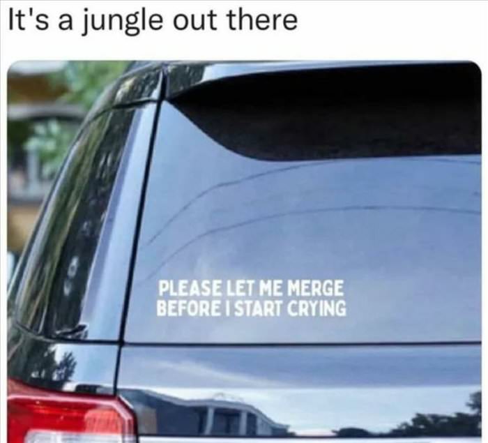 a jungle out there