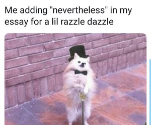 a little razzle dazzle