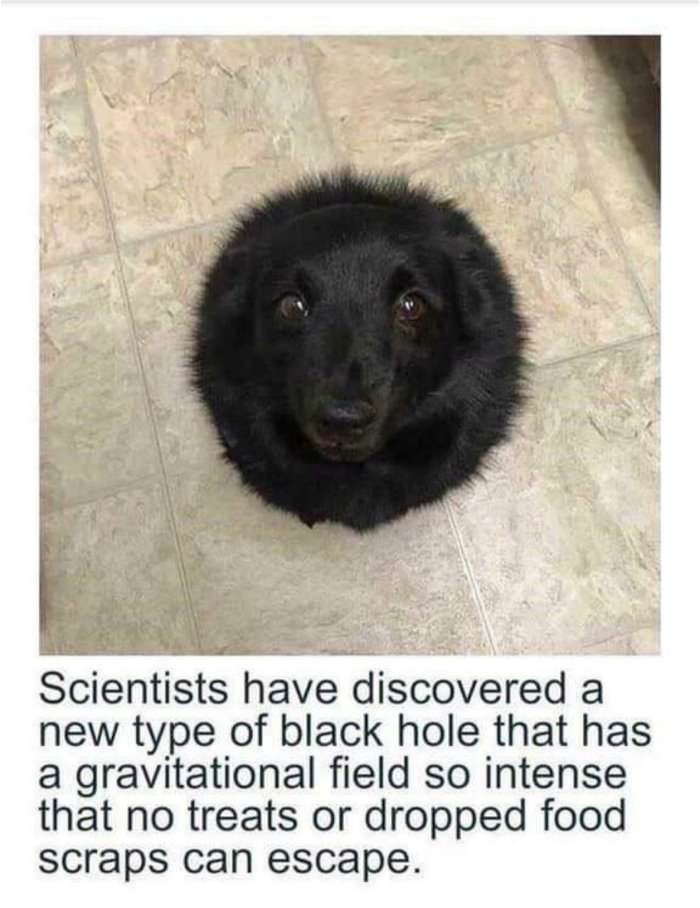 a new type of black hole
