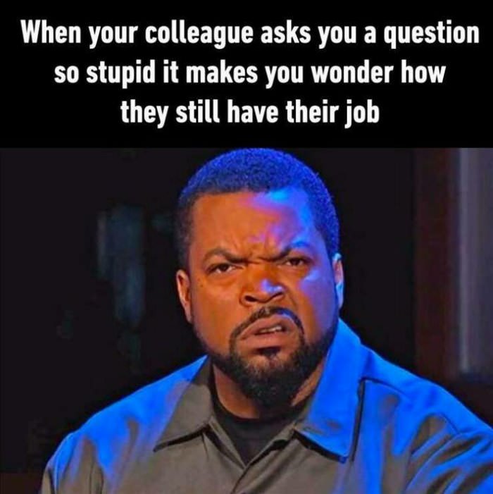 a question so stupid