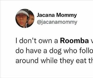 a roomba