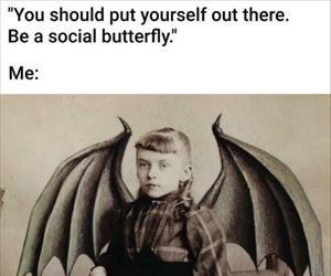 a social butterfly