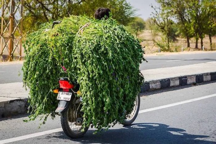 a special delivery ... 2