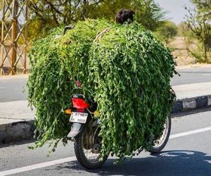 a special delivery ... 2