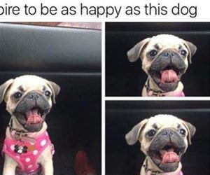 a aspire to be this happy funny picture