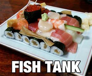 a fish tank funny picture