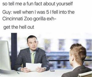 a fun fact funny picture
