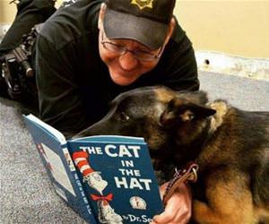 a good bedtime story funny picture