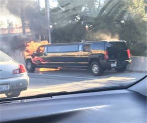 a little ironic funny picture