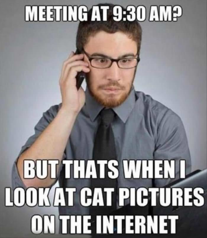 a meeting at 930am funny picture