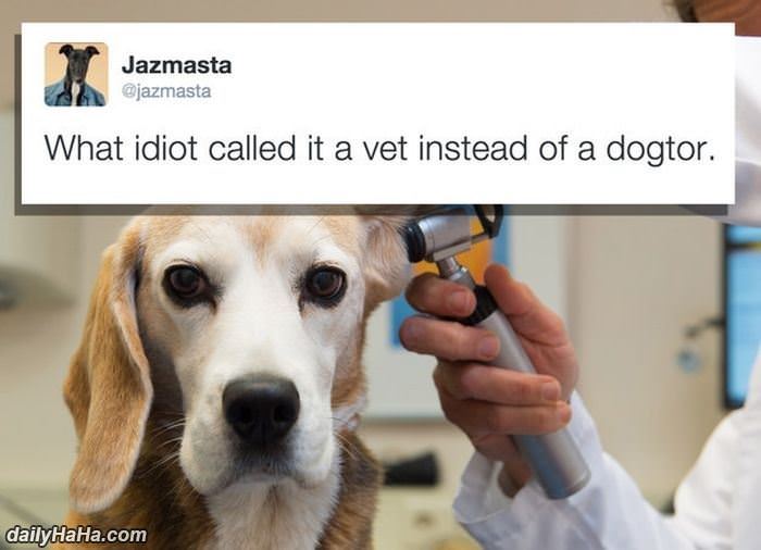 a missed opportunity funny picture