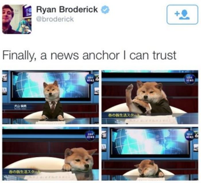 a news anchor funny picture