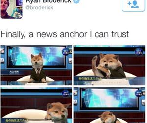 a news anchor funny picture
