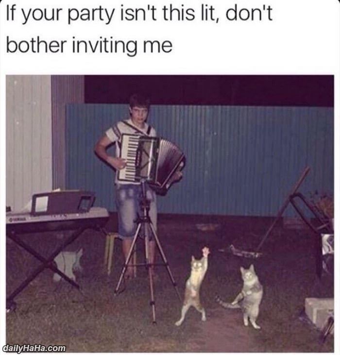 a party this lit funny picture