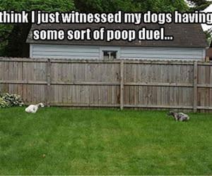 a poop duel funny picture