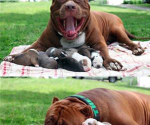 a proud father funny picture