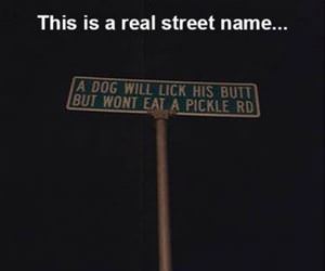 a real street name funny picture