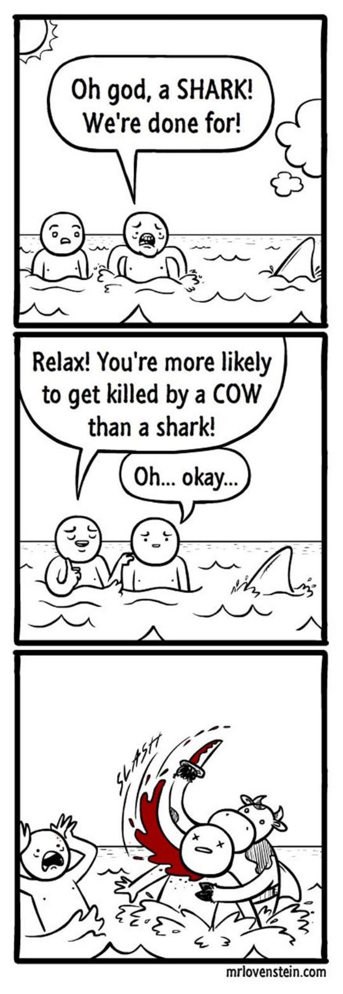 a shark funny picture