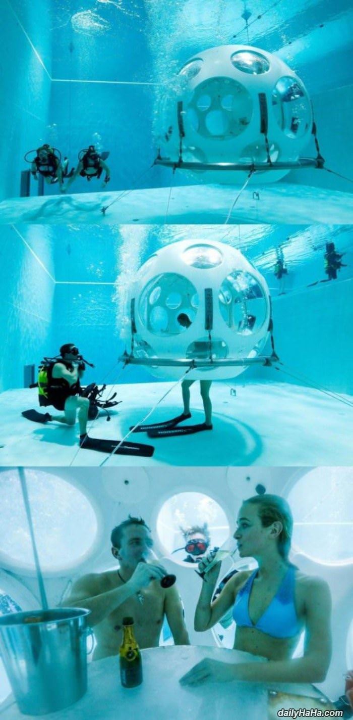 a strange place for a toast funny picture