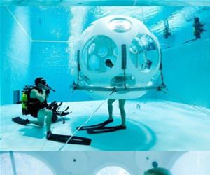 a strange place for a toast funny picture