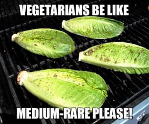 a vegetarian bbq funny picture