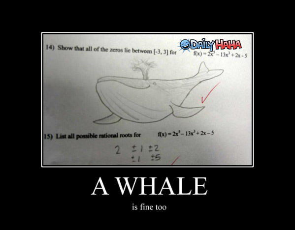 A Whale is Fine funny picture