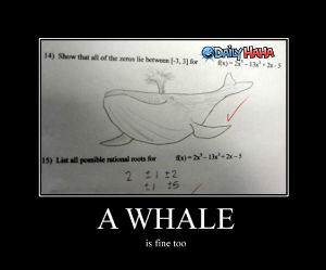 A Whale is Fine funny picture